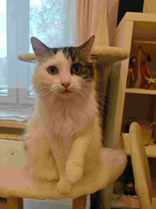 Marcin Zaleski, malarz Warszawy